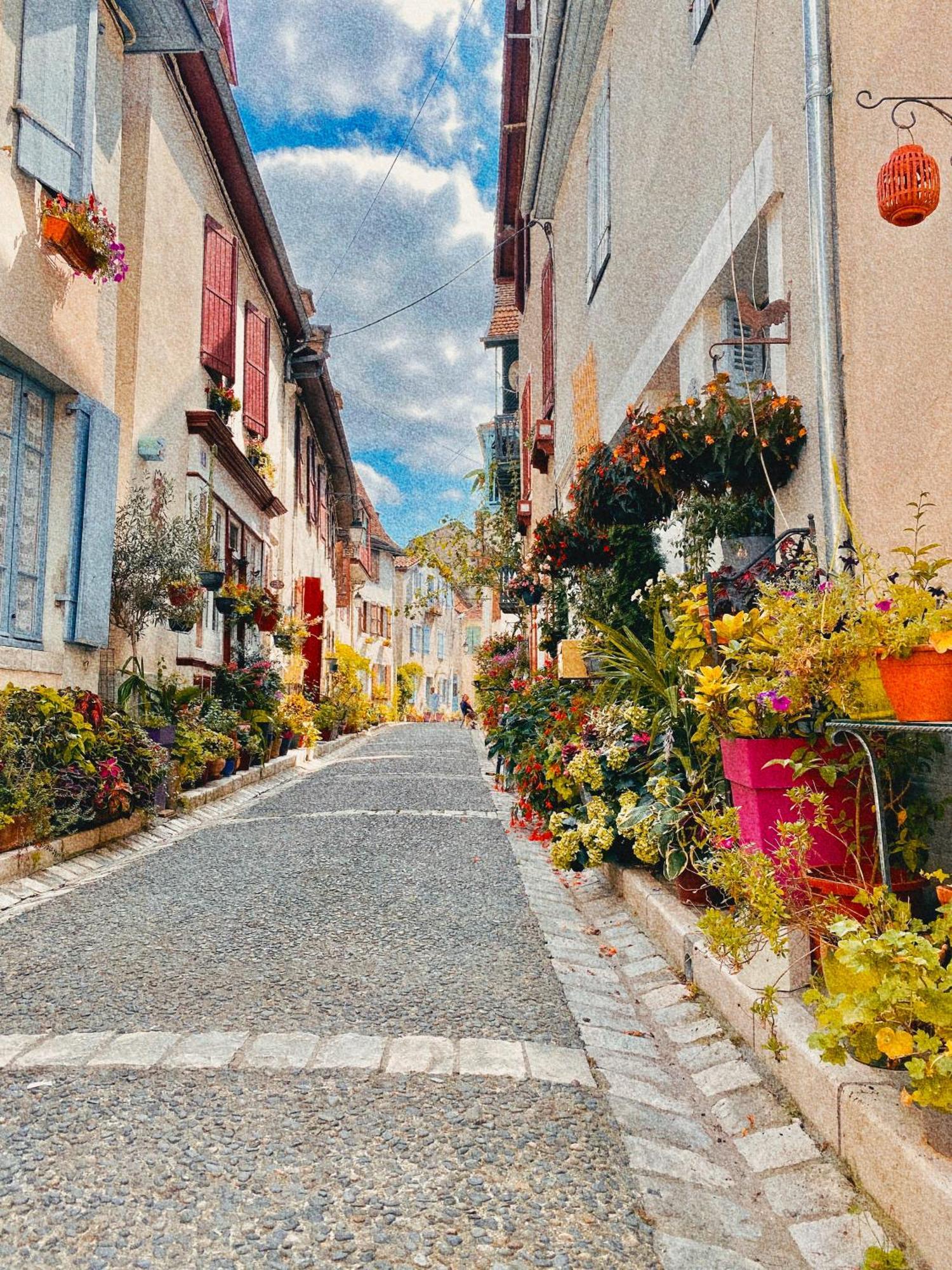 Agréable petit gîte avec piscine Salies-de-Béarn Exterior foto